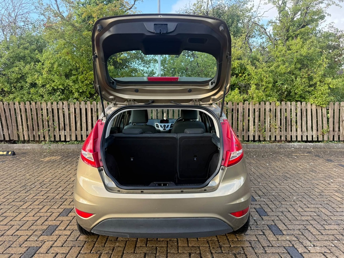 								Ford Fiesta Edge full									