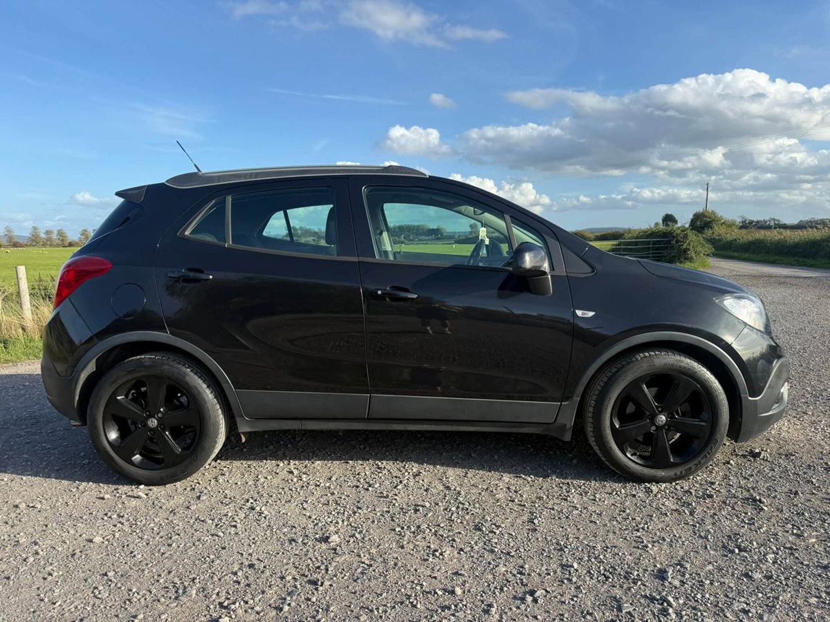 								Vauxhall Mokka Tech Line full									